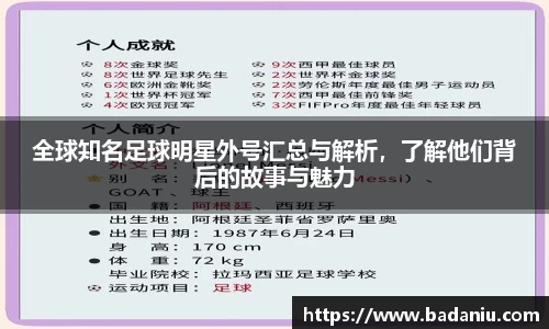 全球知名足球明星外号汇总与解析，了解他们背后的故事与魅力